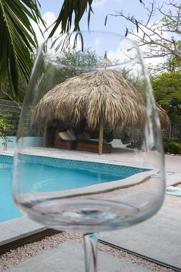 Paradijselijke Villa Met Prive Zwembad, Palapa, Tropische Tuin En Rondom Privacy Grote Berg Feriehus